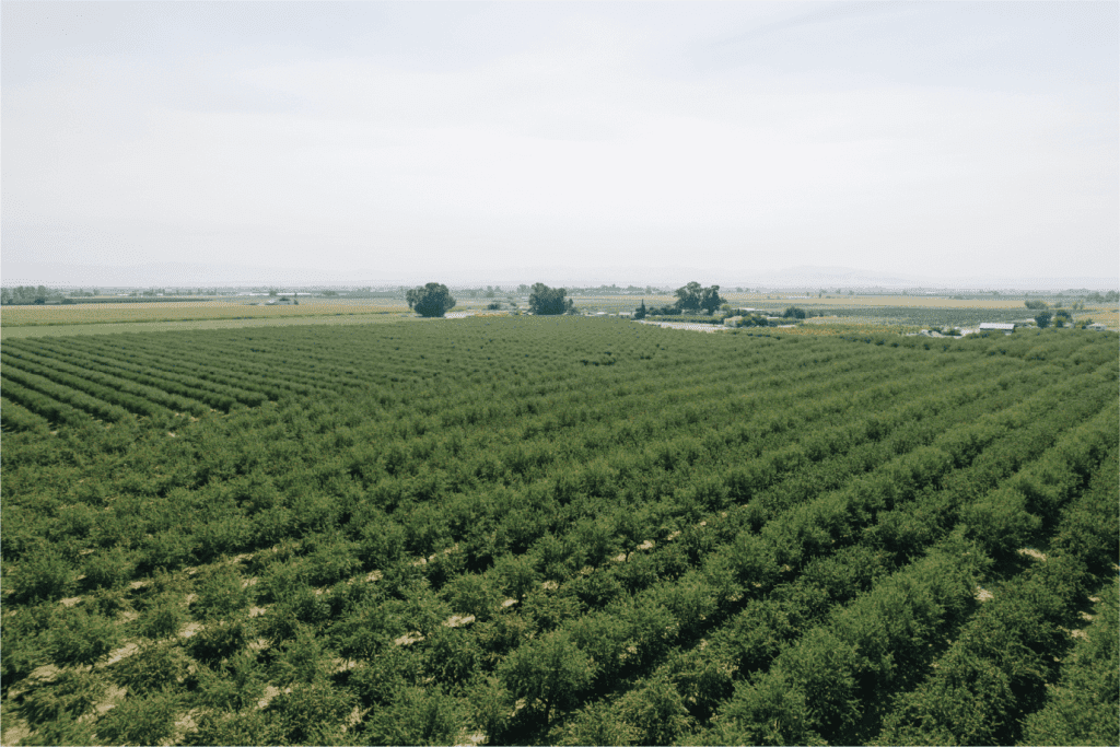 Nova Asset Management