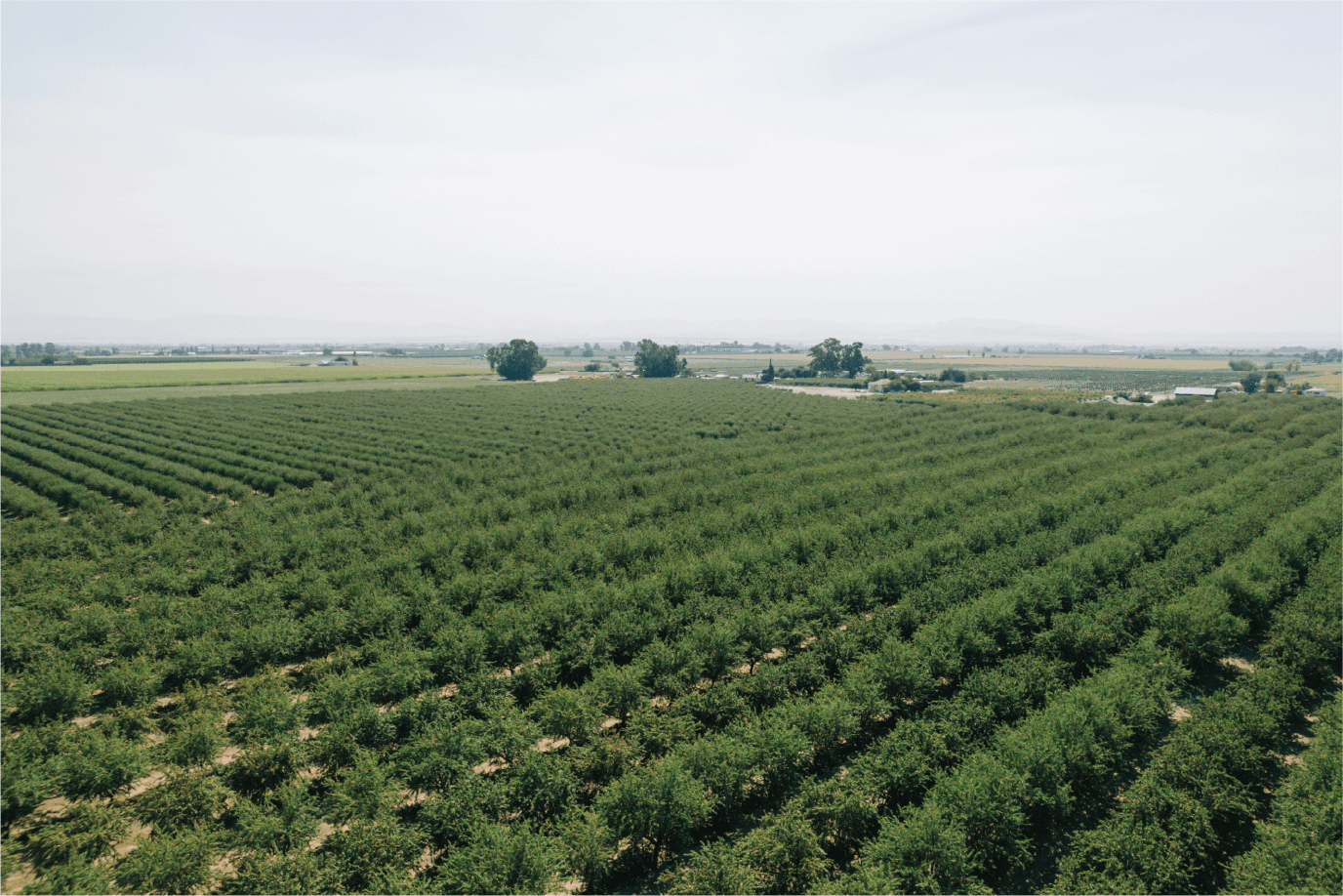 Nova Asset Management