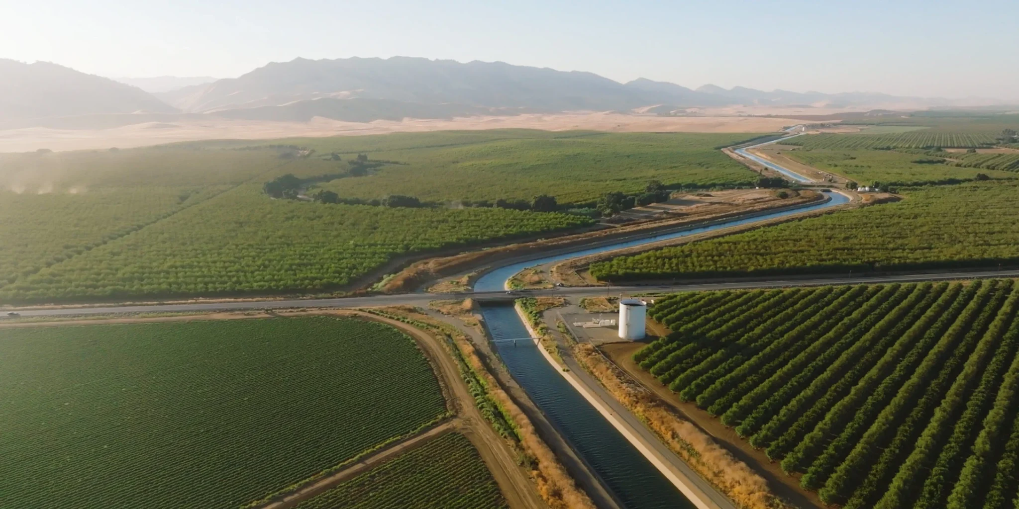 California’s 2025 Outlook: Shaping the Future of Agriculture