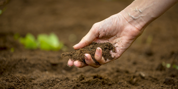 Carbon Credits, Compost & Compliance: The Politics of Soil Health in 2025
