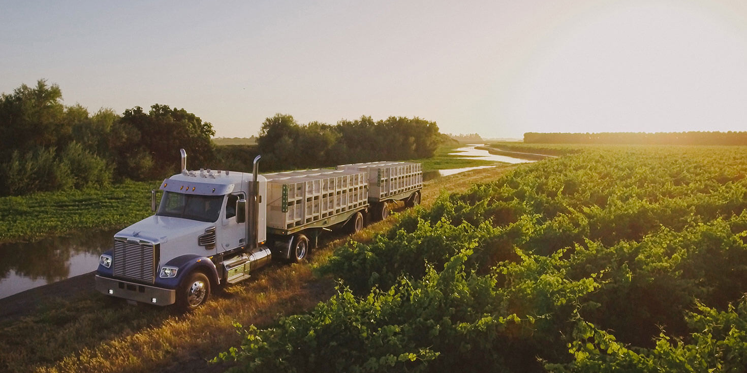 Navigating the 2025 Harvest: Overcoming Logistics Challenges for Growers