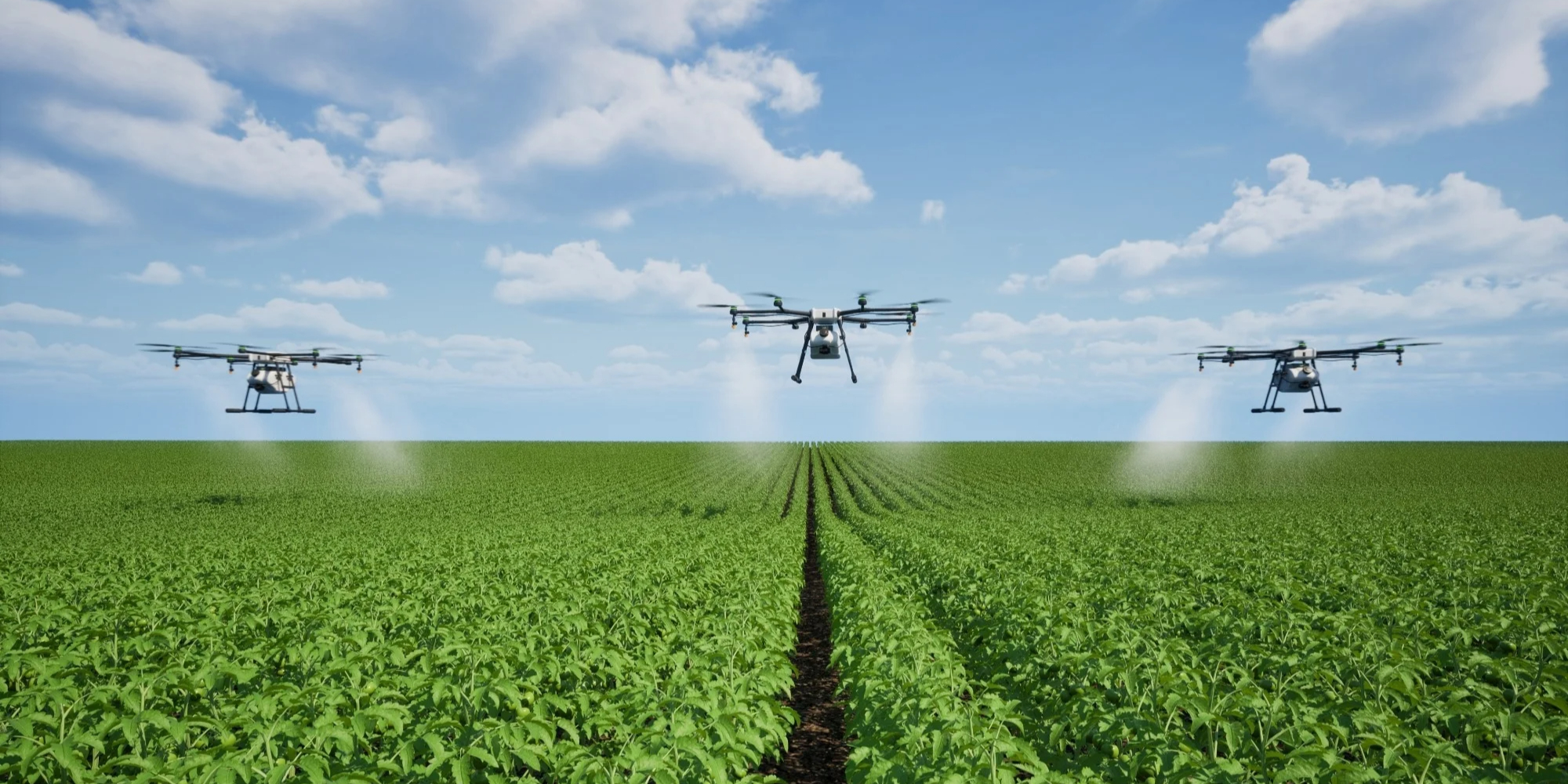 Revolutionizing California Farming: How AI and Robotics Are Reshaping Agriculture
