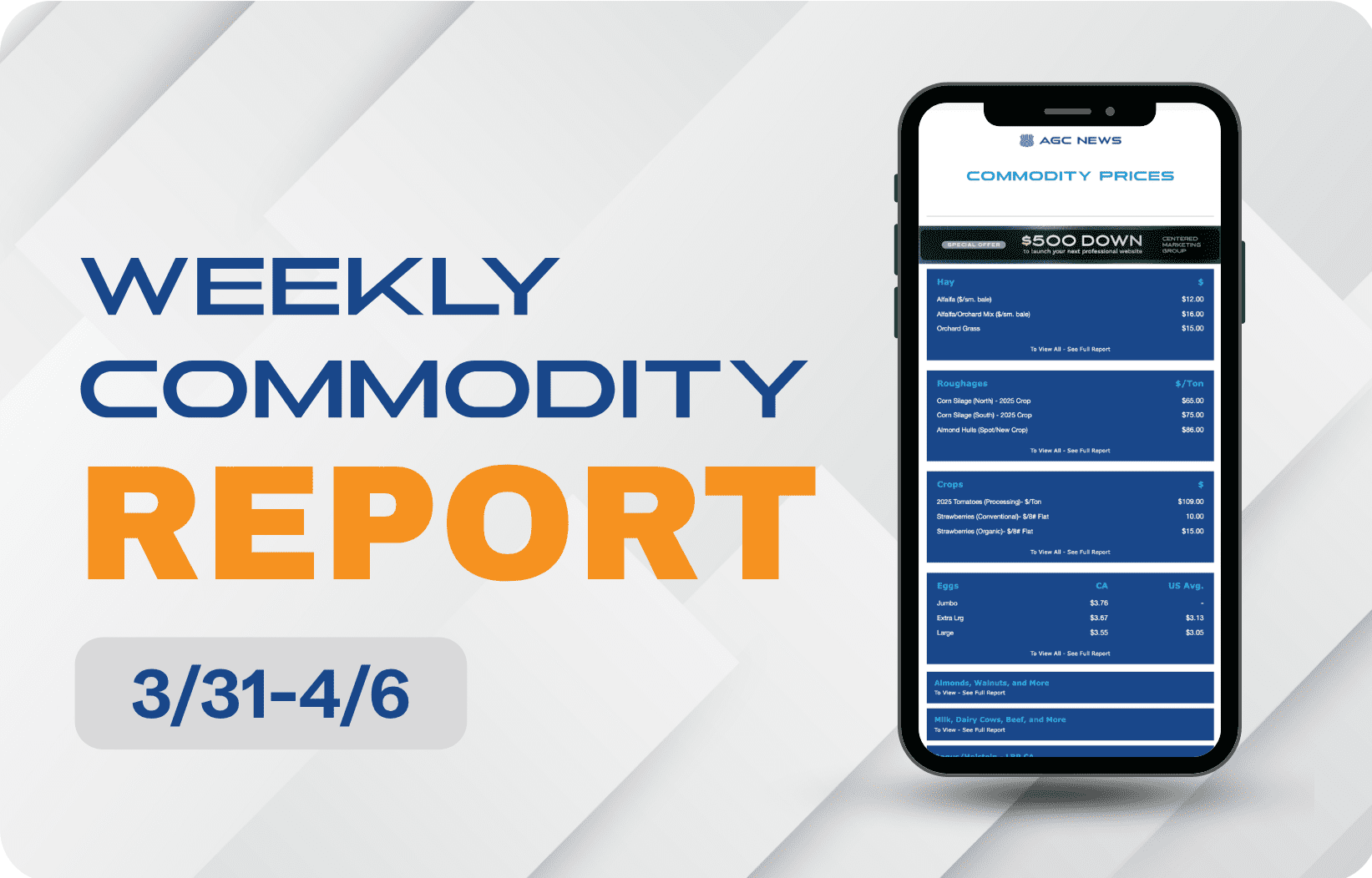 03.31.25 – Commodities Report