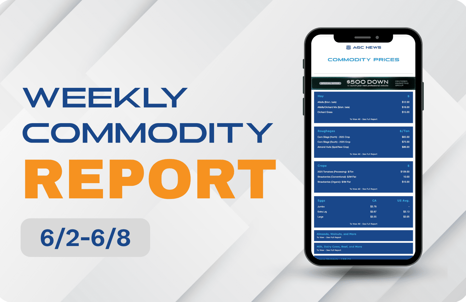 06.02.25 – Commodities Report