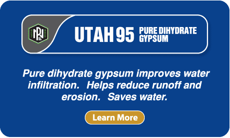 Utah 95 Pure Dyhydrate Gypsum