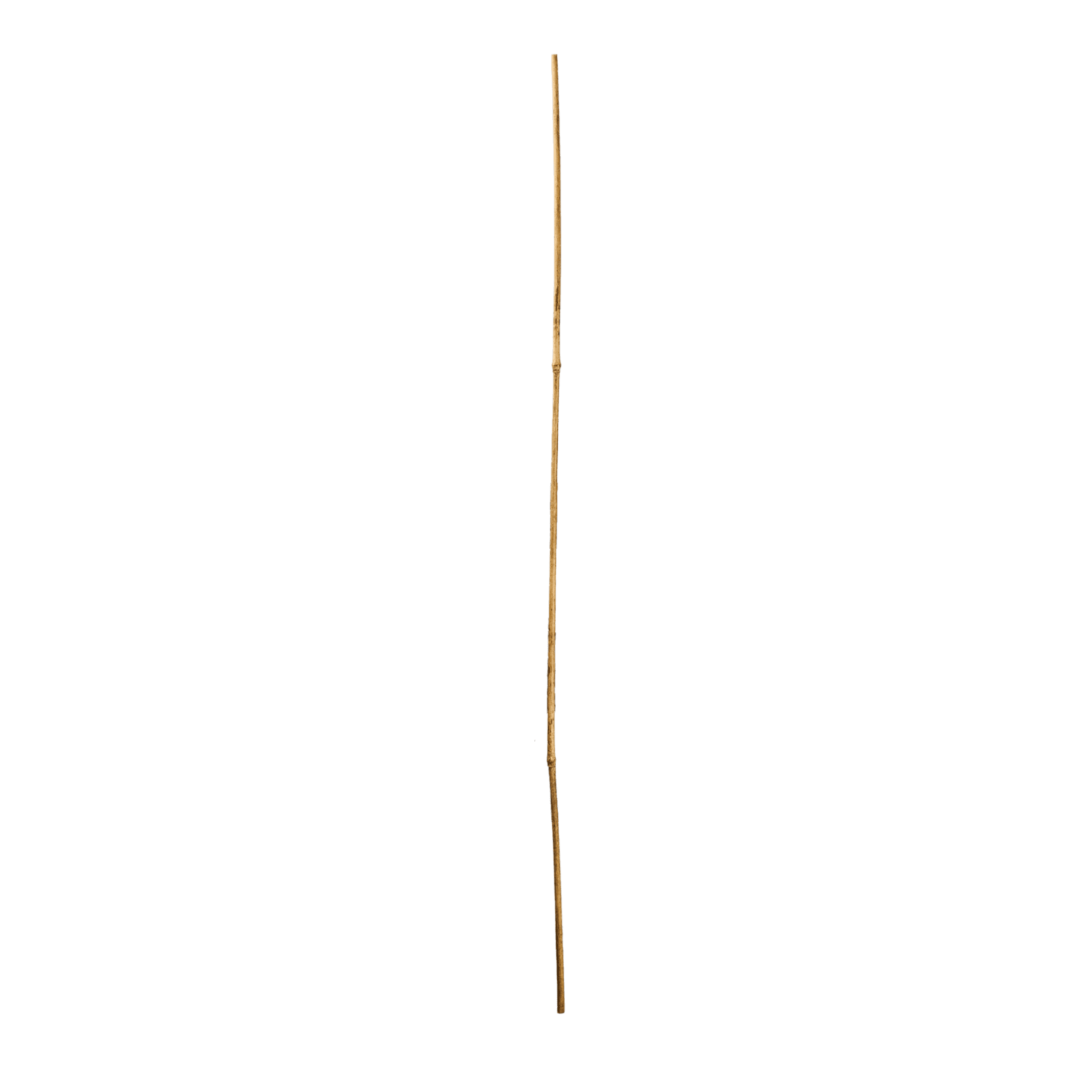 Bamboo Stake- 4' x 7/16"