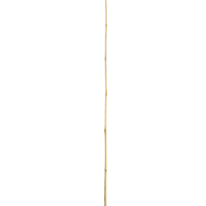 Bamboo Stake- 5' x 1/2"