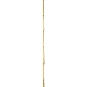 Bamboo Stake- 6' x 3/4"