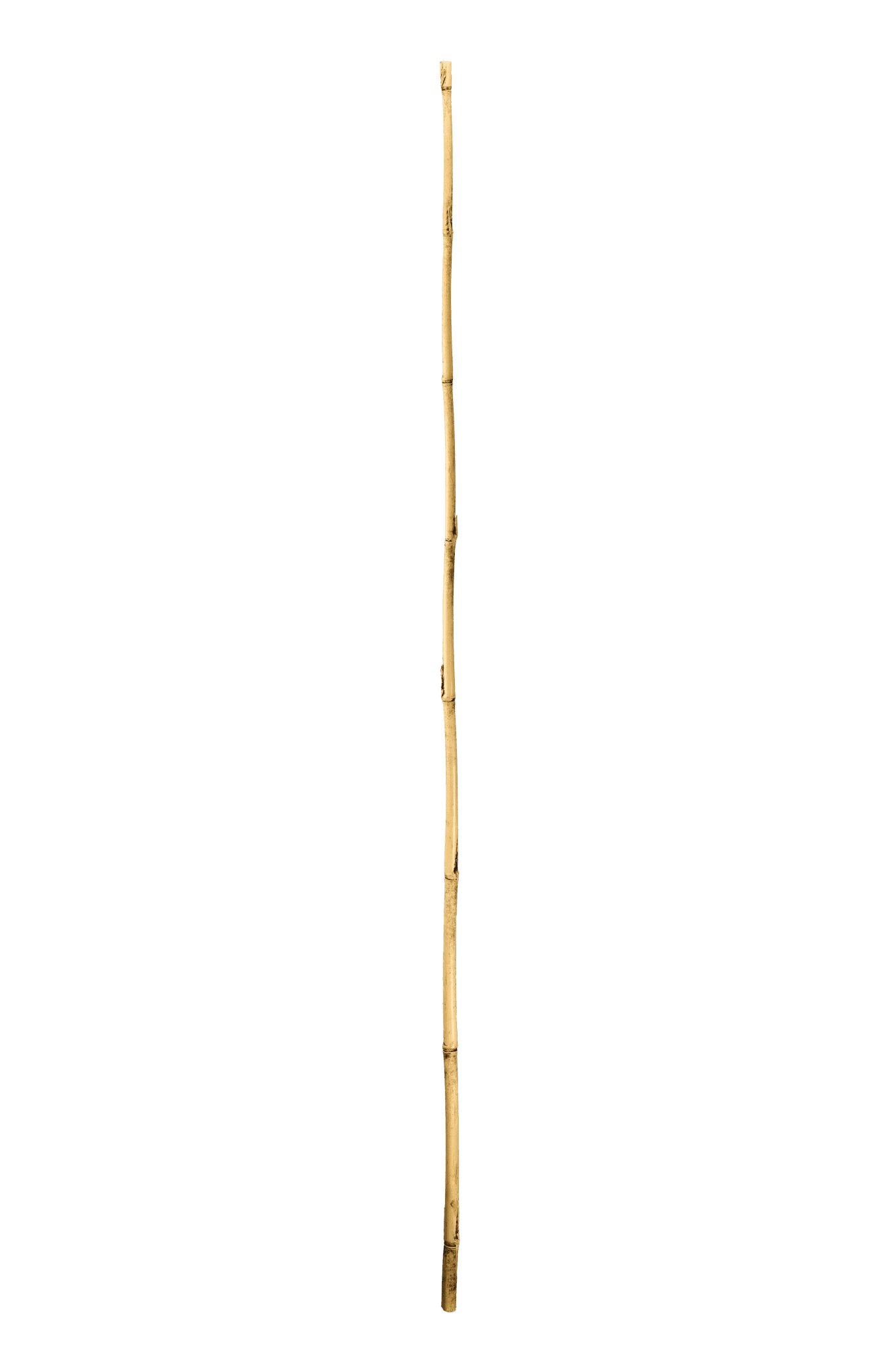 Bamboo Stake- 6' x 3/4"