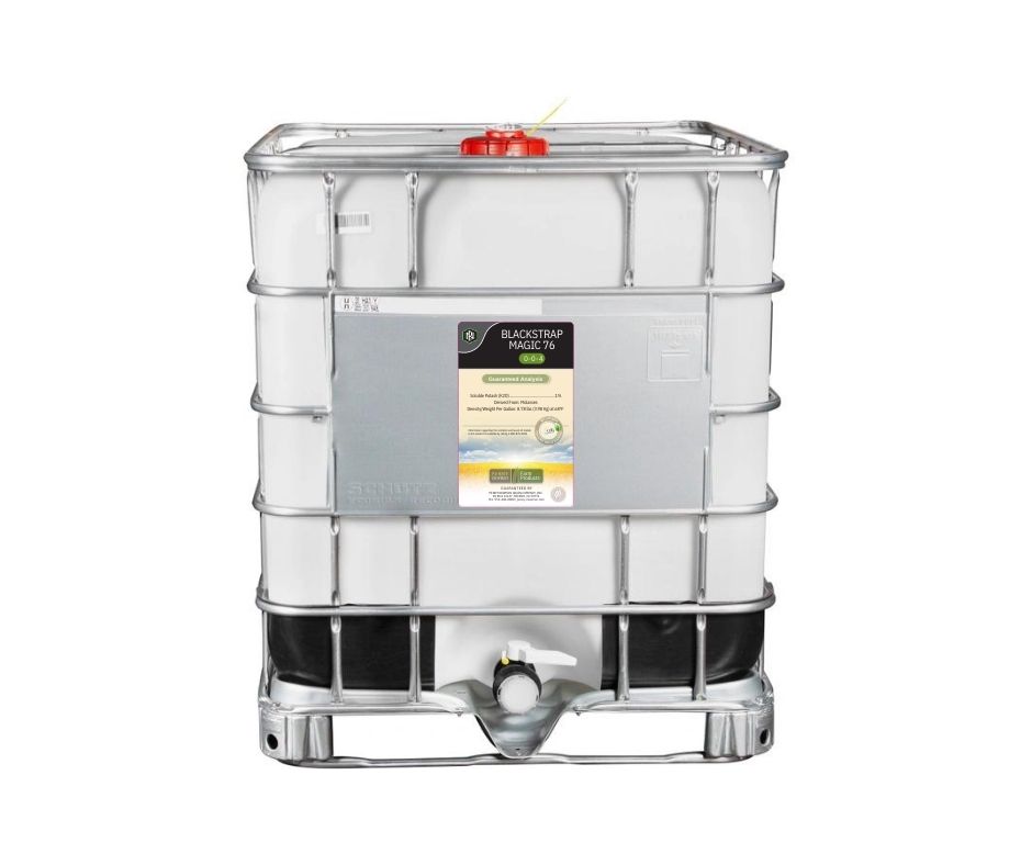 Blackstrap Magic 76