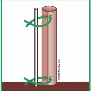 Double Wall Grow Tube- 24"