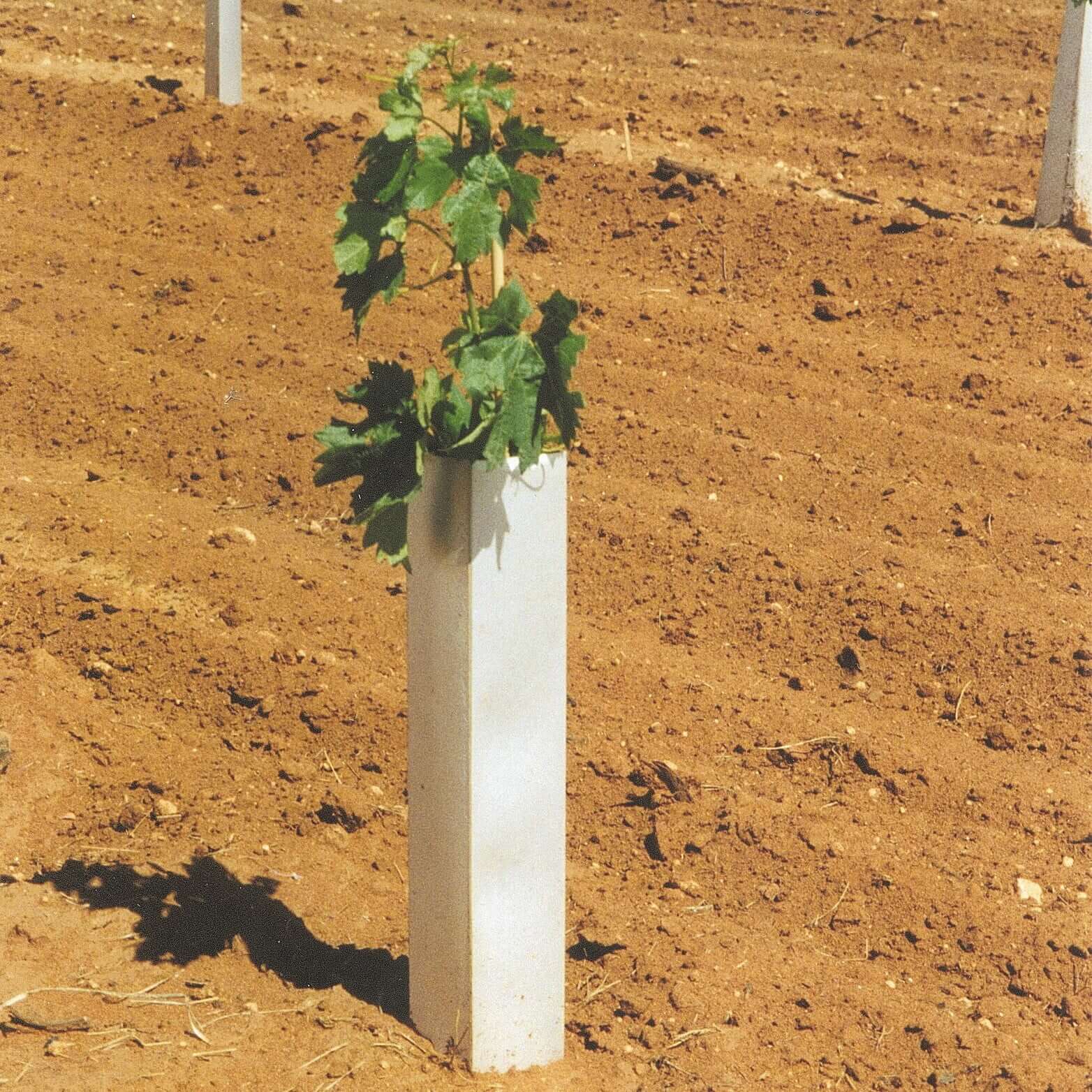 Tree Protector (Poly Coated)- 3.75" x 18"