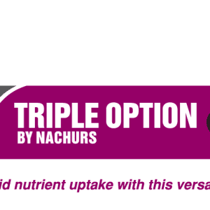 NACHURS Triple Option