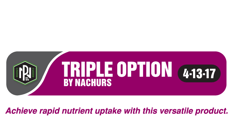 NACHURS Triple Option