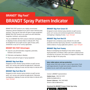 BRANDT Big Foot Red SS