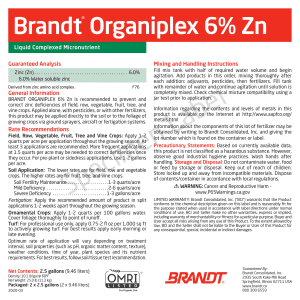 BRANDT Organiplex 6% Zn (O)