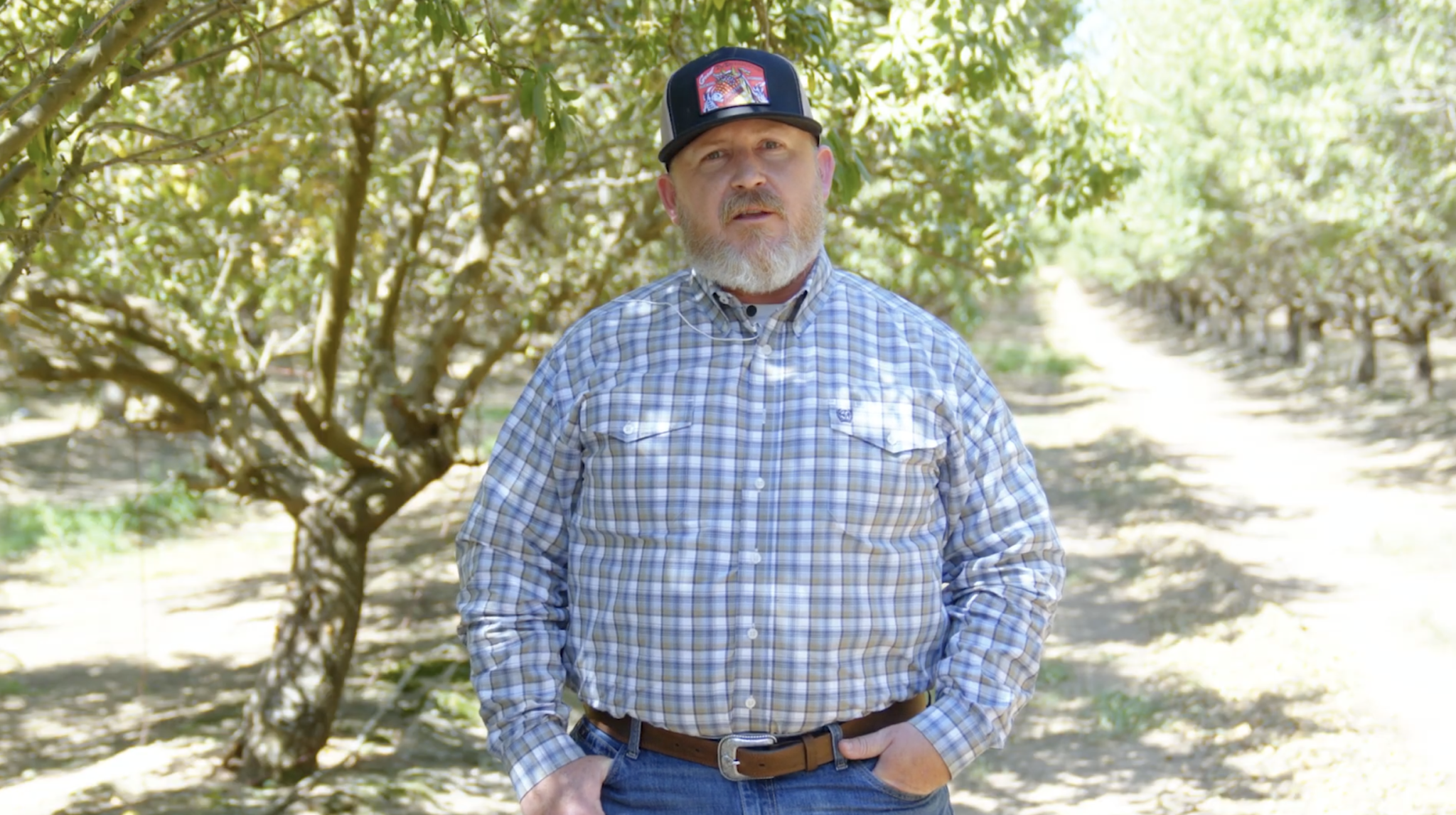 08.11.25 – CA Commodities Update