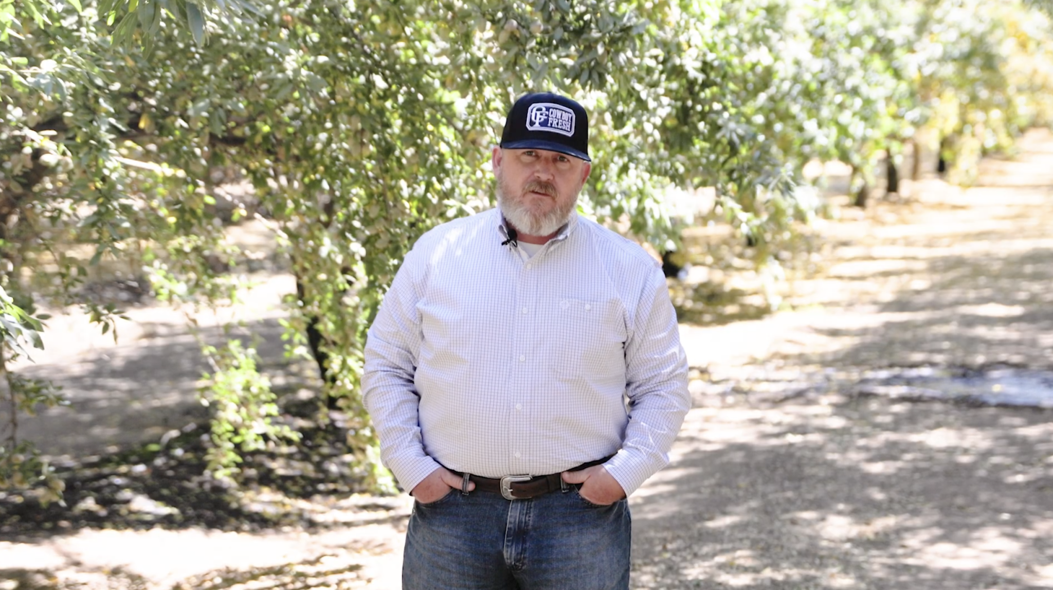 08.18.25 – CA Commodities Update