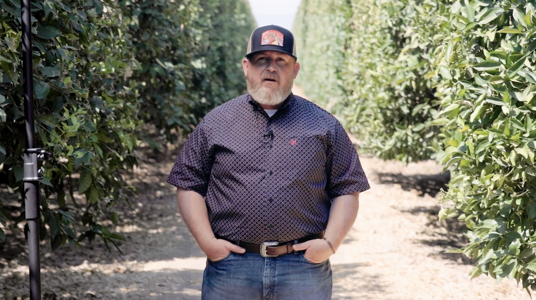 08.25.25 – CA Commodities Update