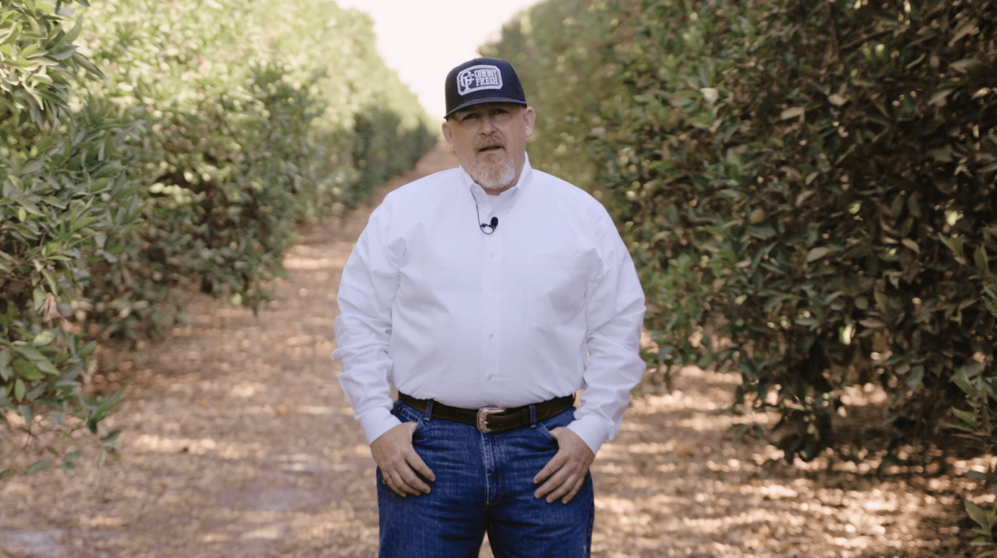 09.08.25 – CA Commodities Update