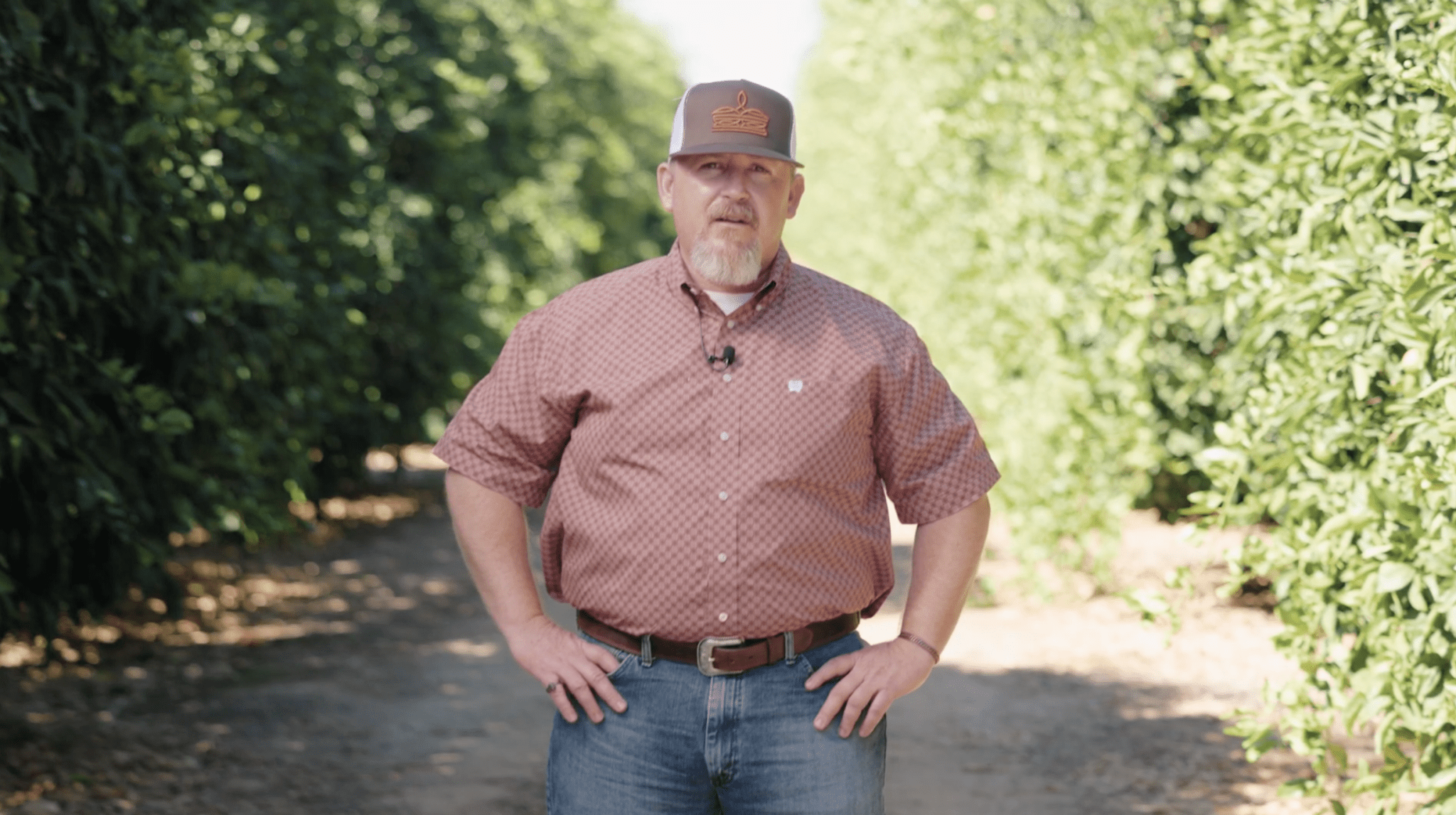 10.06.25 – CA Commodities Update