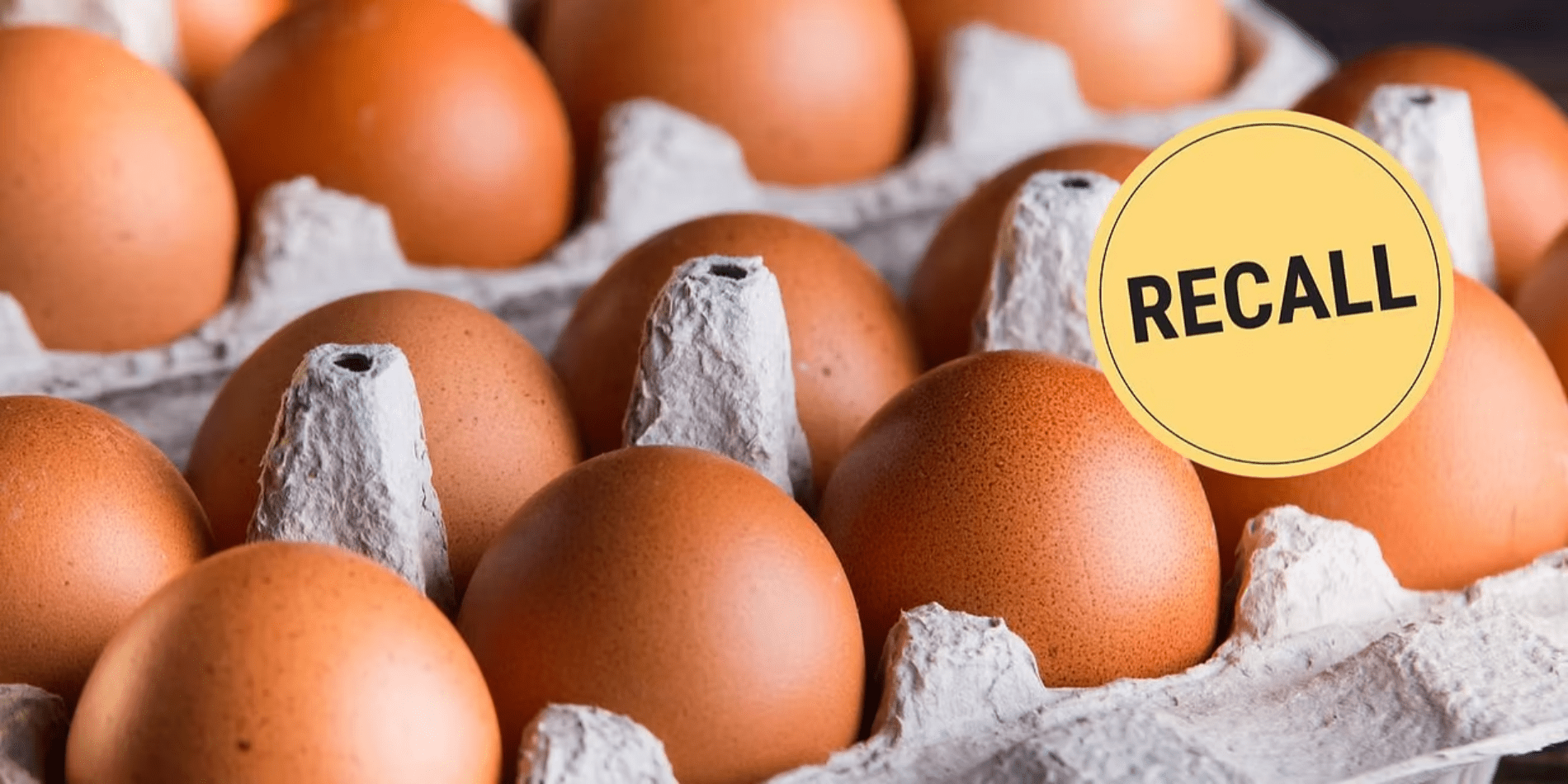 1.7 Million Dozen Eggs Recalled: Inside the 2025 Salmonella Crisis