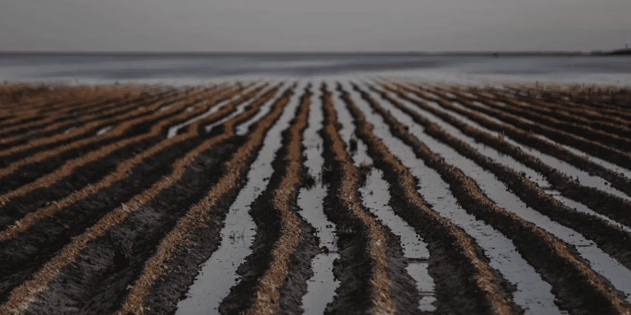 Trump budget signals long-overdue shift toward pragmatic water management | Opinion