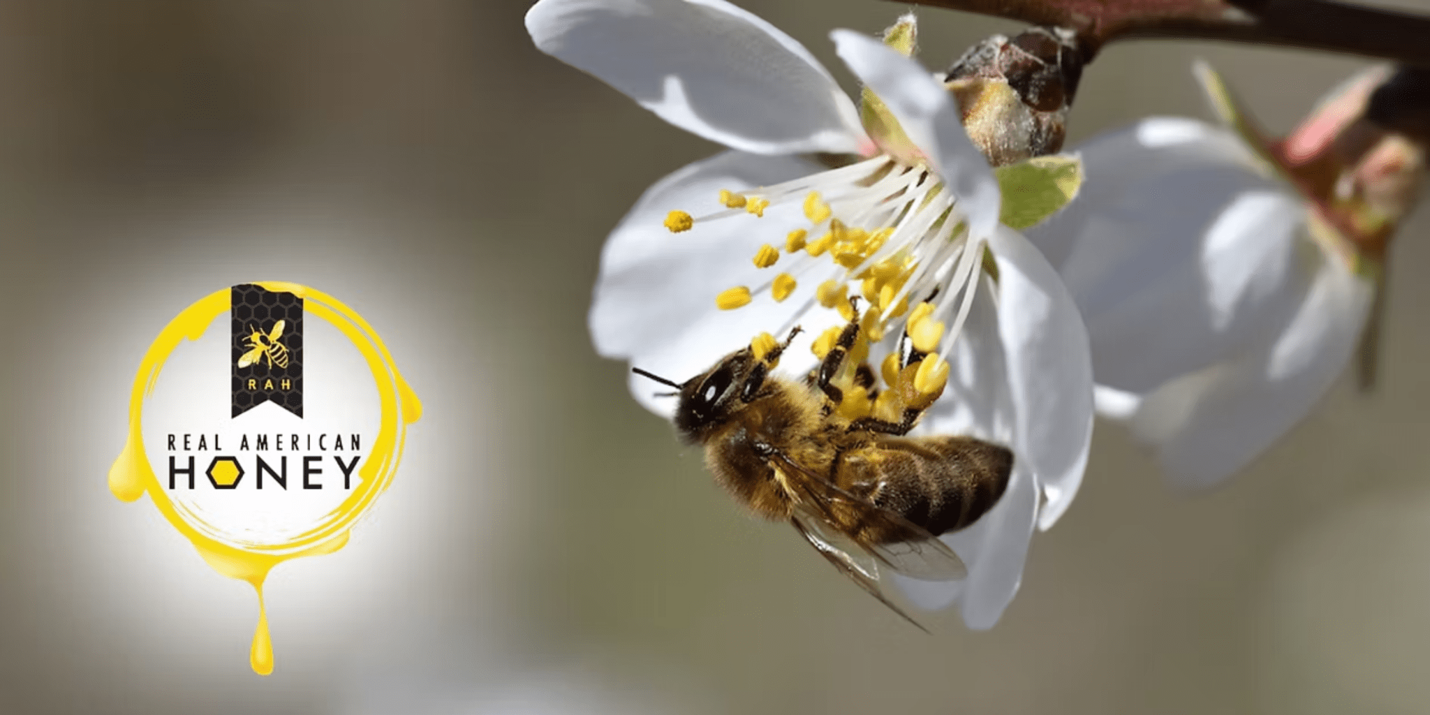 Real American Honey Joins The Ag Center, Bringing a New Level of Service to the Field