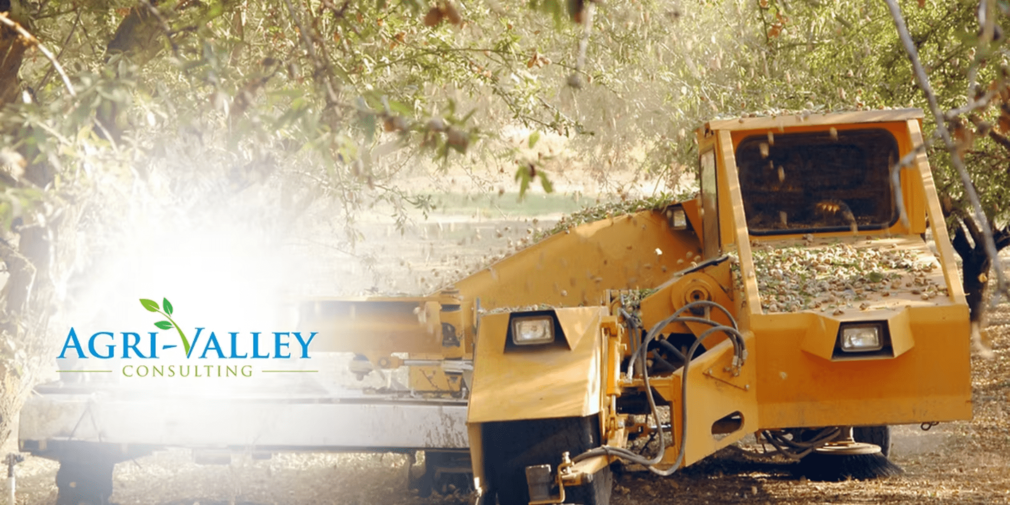 3 Smart Management Practices to Optimize Almond Harvest in 2025