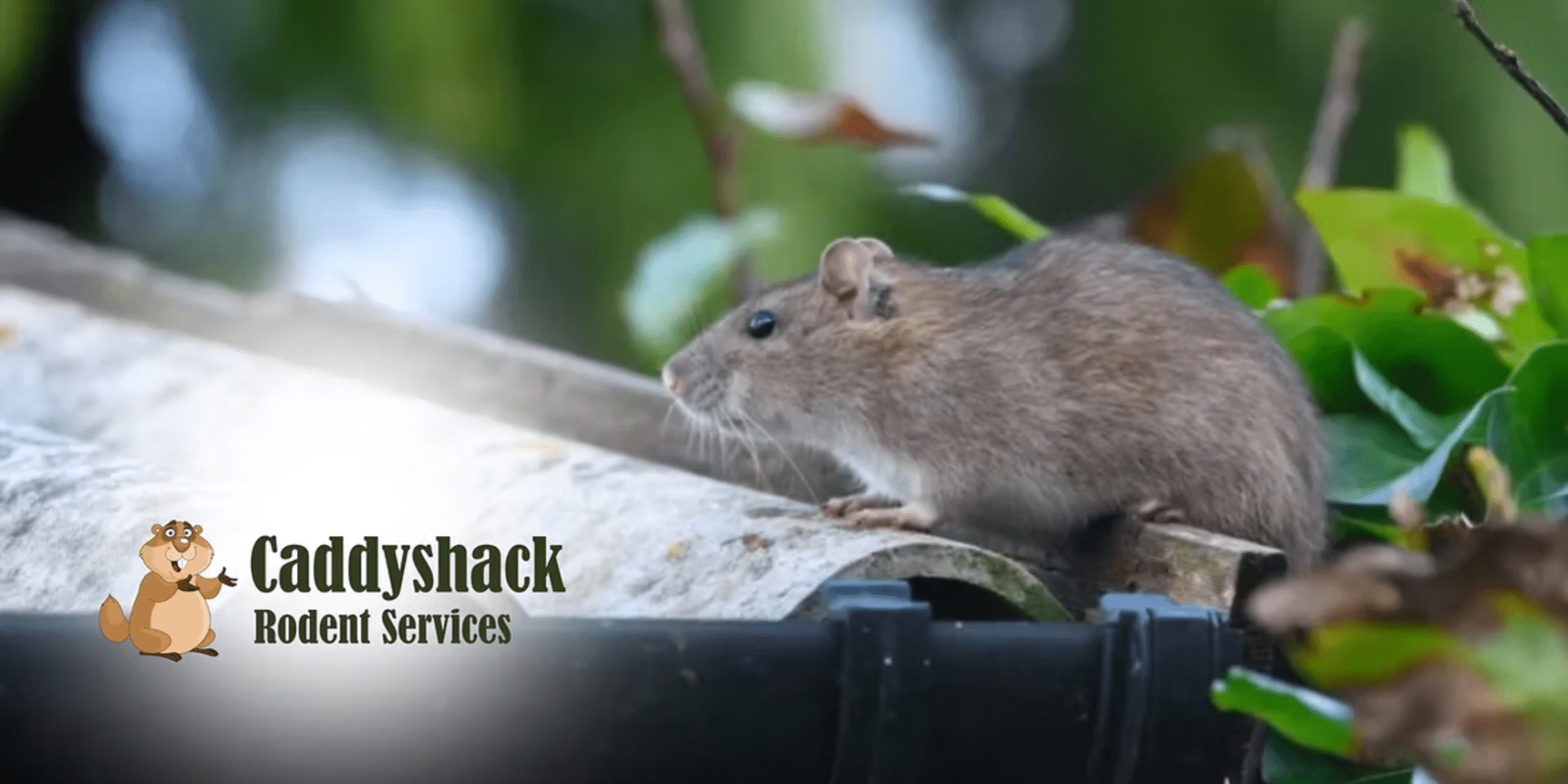 Untitled design 56 - The AG Center