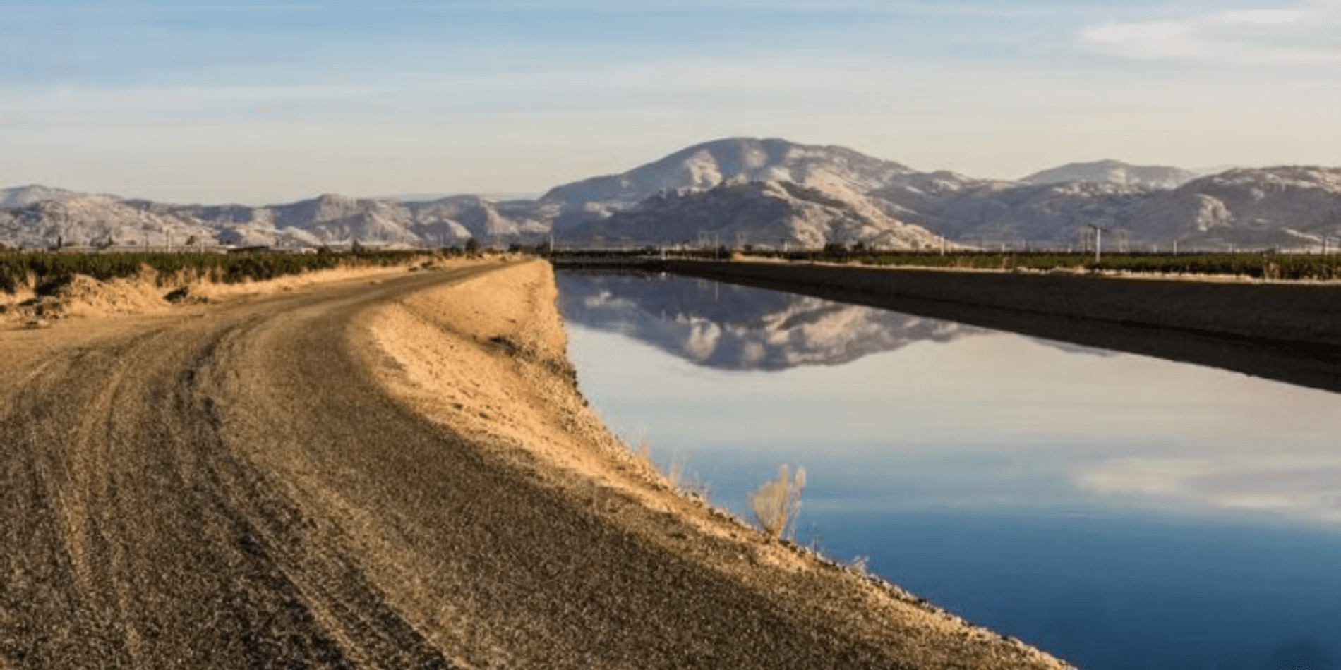 At a Breaking Point: Valley Water Coalition Urges Federal Action to Safeguard California Agriculture