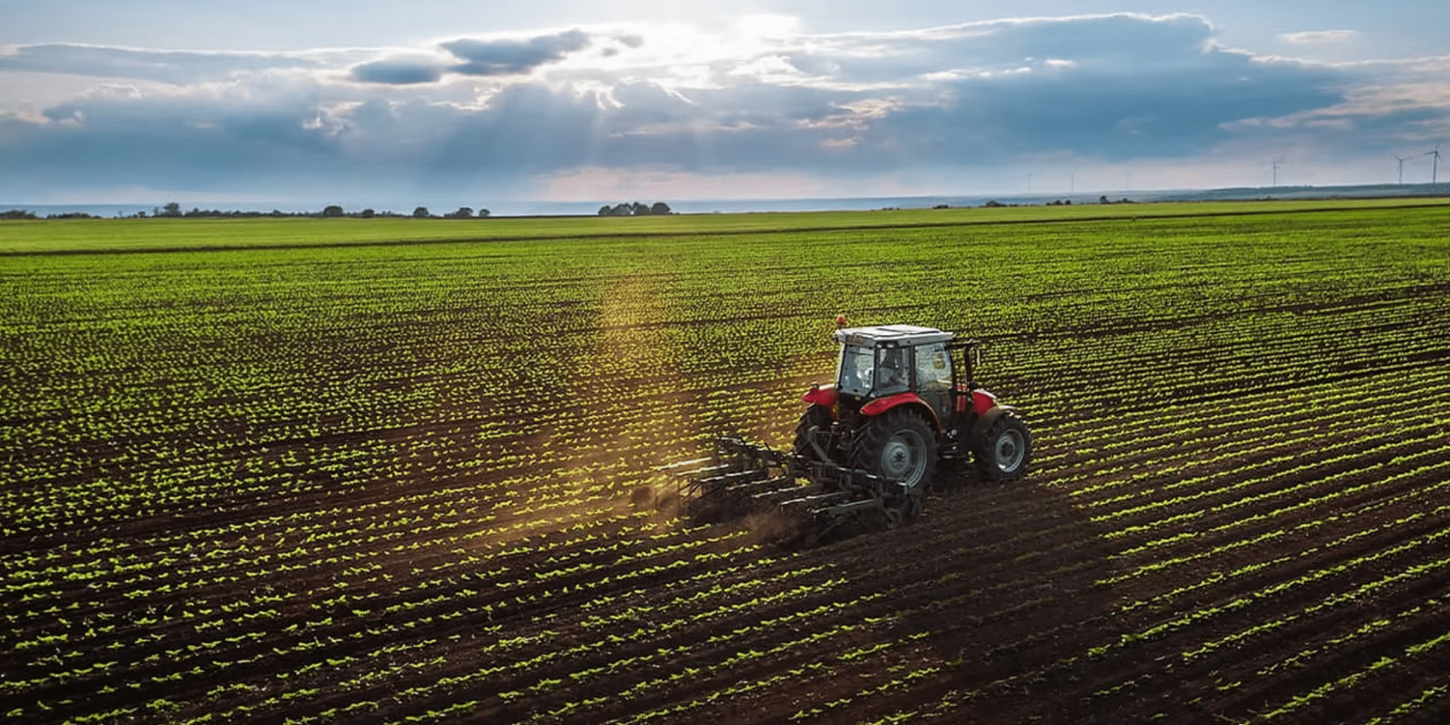 Federal Funding and State Initiatives Set to Shape California Agriculture in 2025