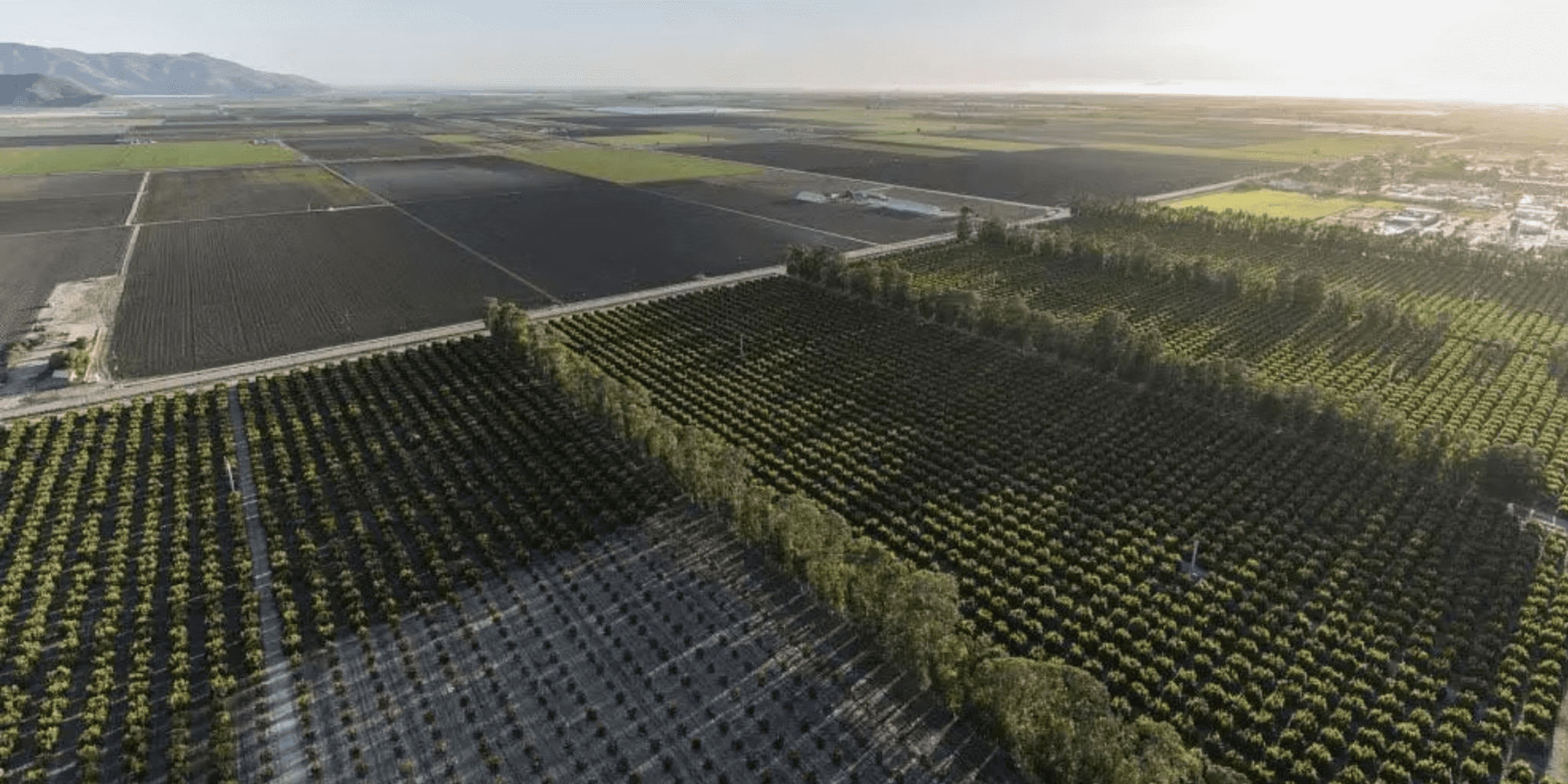 California Bets Big on Ag-Tech with $80 Million Economic Development Push