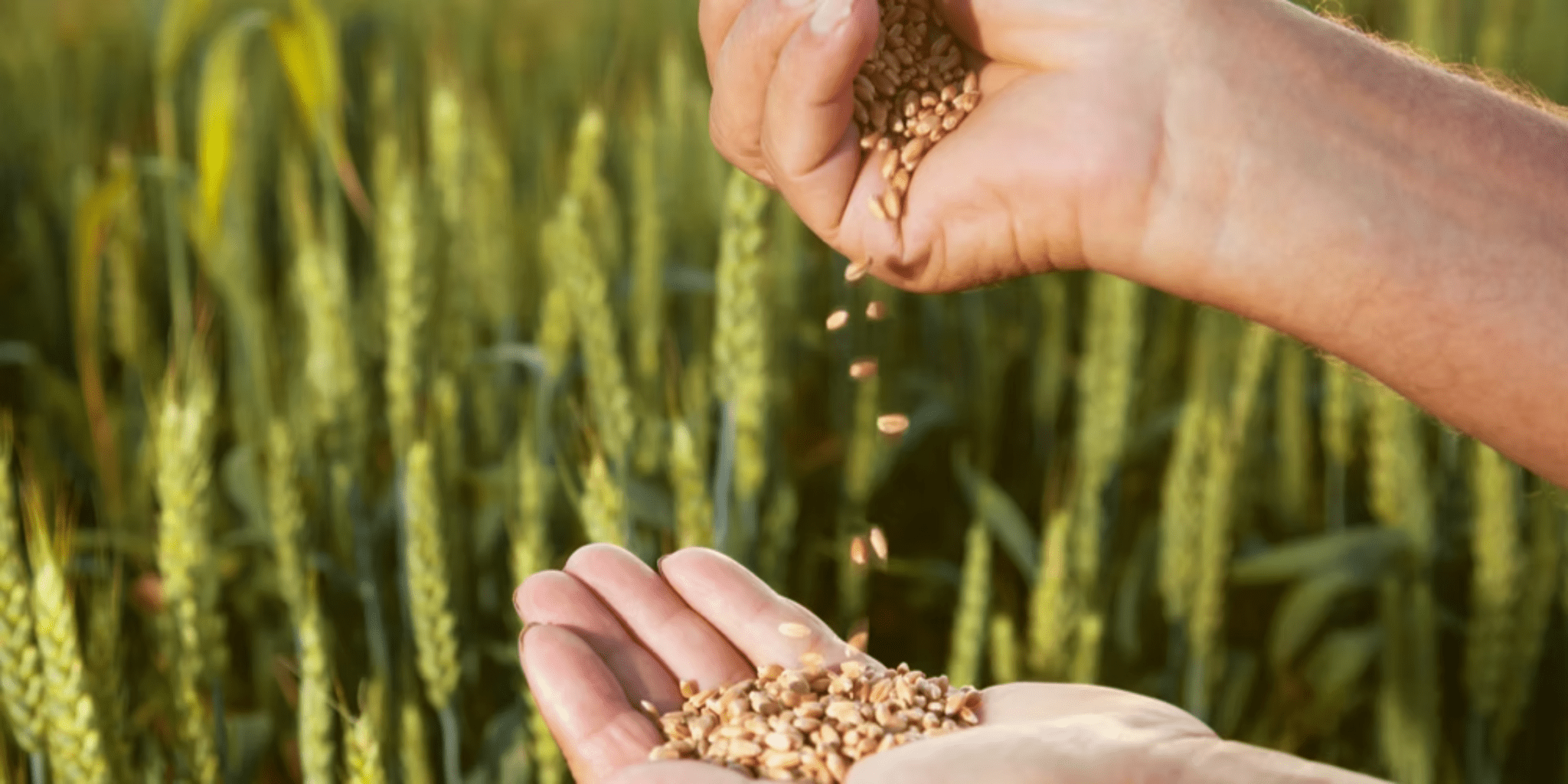 Federal Crackdown: DOJ and USDA Team Up to Police Farm Input Markets