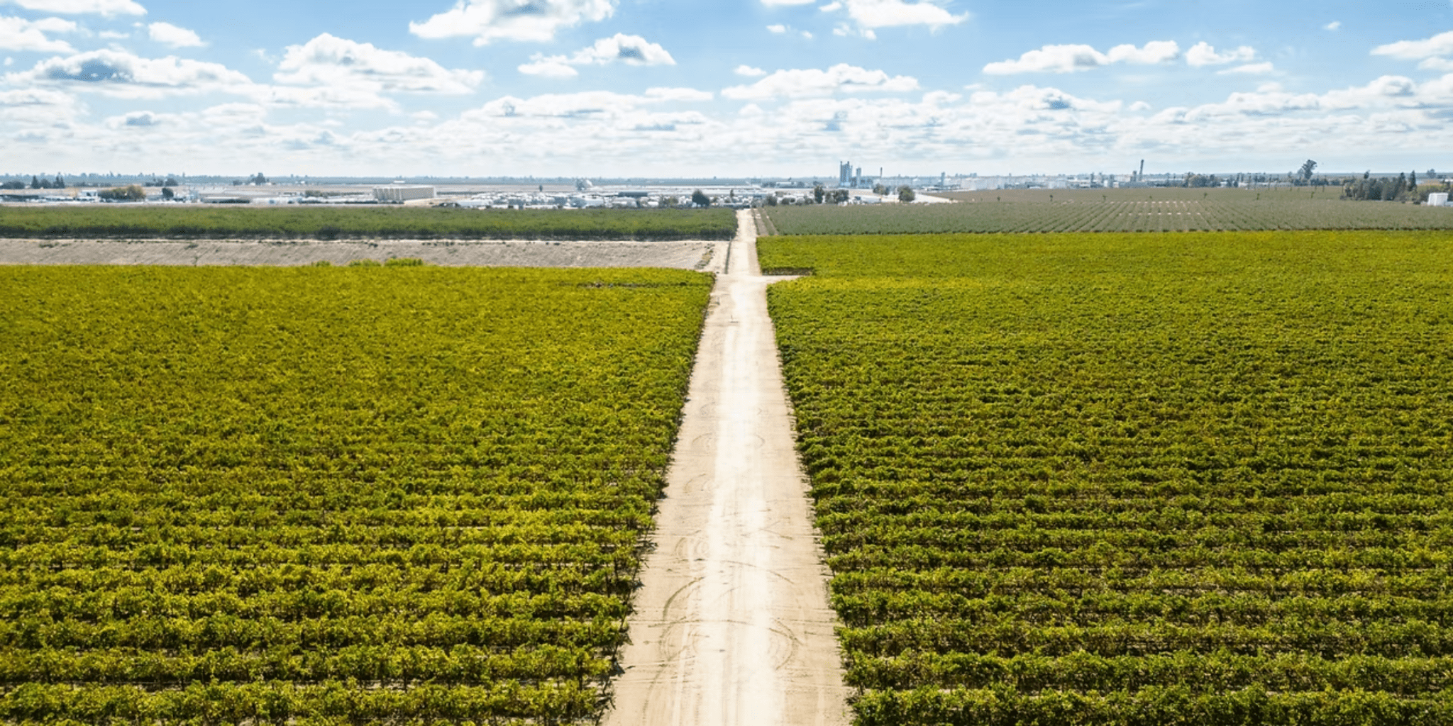 USDA Grants Put on Ice: How the Government Shutdown Silences Critical Agricultural Funding