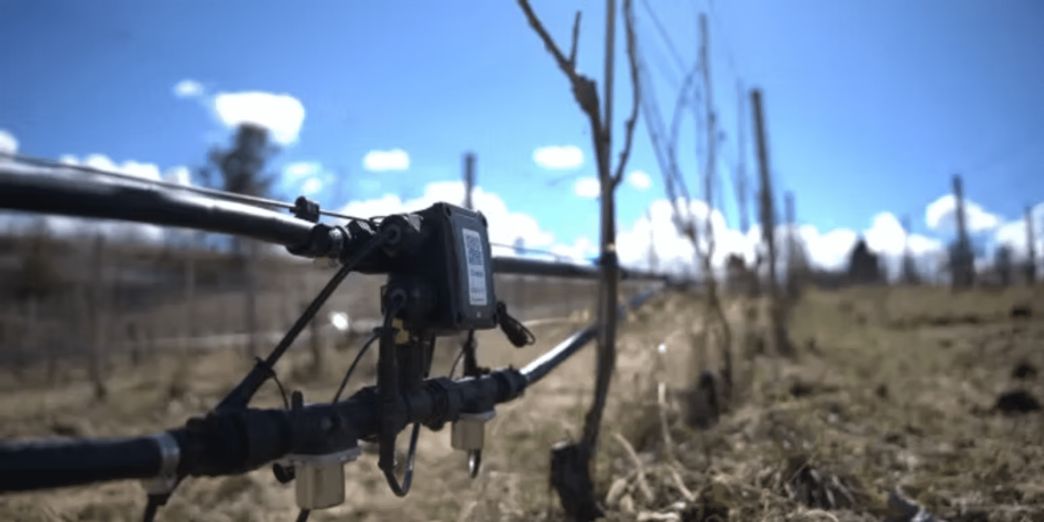 California’s $15 Million AgTech Revolution: How Growers Are Plugging Into the Future