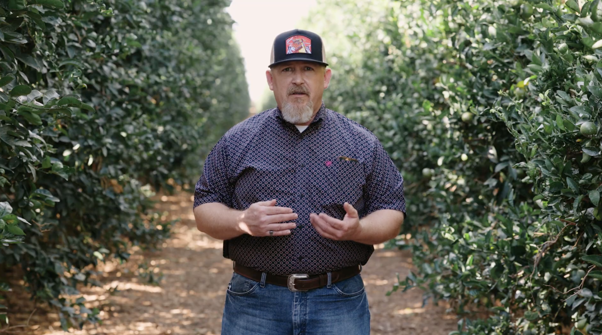 11.10.25 – CA Commodities Update