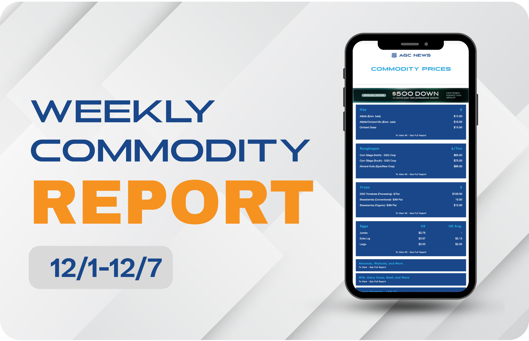 12.01.25 – Commodities Report
