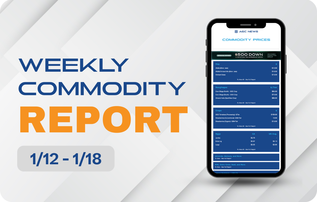 01.12.26 – Commodities Report