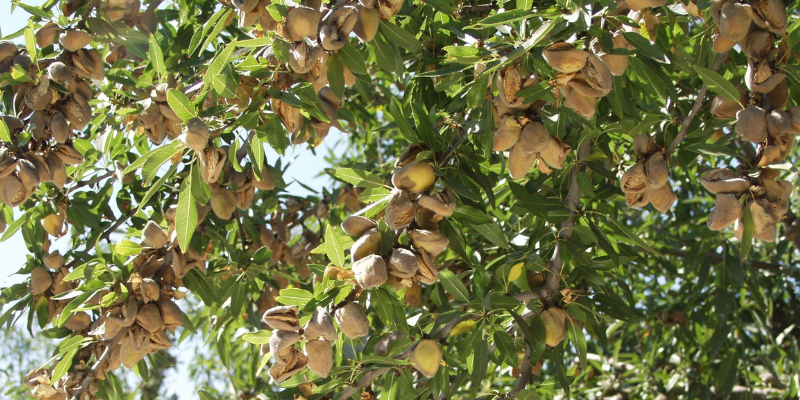 Web Banners - News Blogs 68 - The AG Center