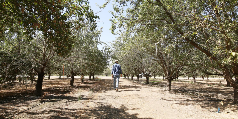 Web Banners - News Blogs 74 - The AG Center