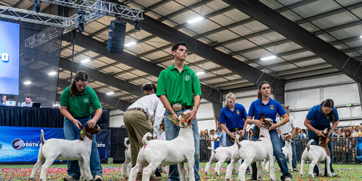 2026 CA Youth Ag Expo