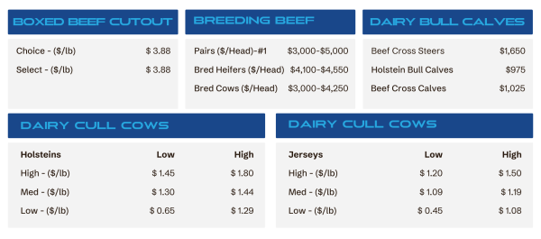 Livestock price dashboard showing beef cuts, breeding beef, dairy calves, and dairy cow prices with per-pound ranges.