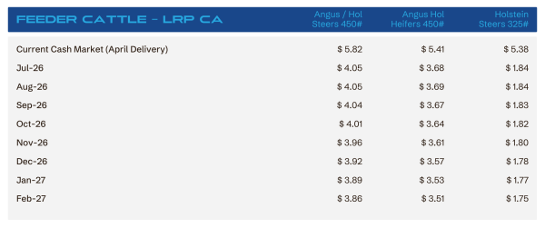 Table of monthly feeder cattle prices by breed and delivery: Angus Steers 450#, Angus Heifers 450#, Holstein Steers 325# (Apr Delivery)