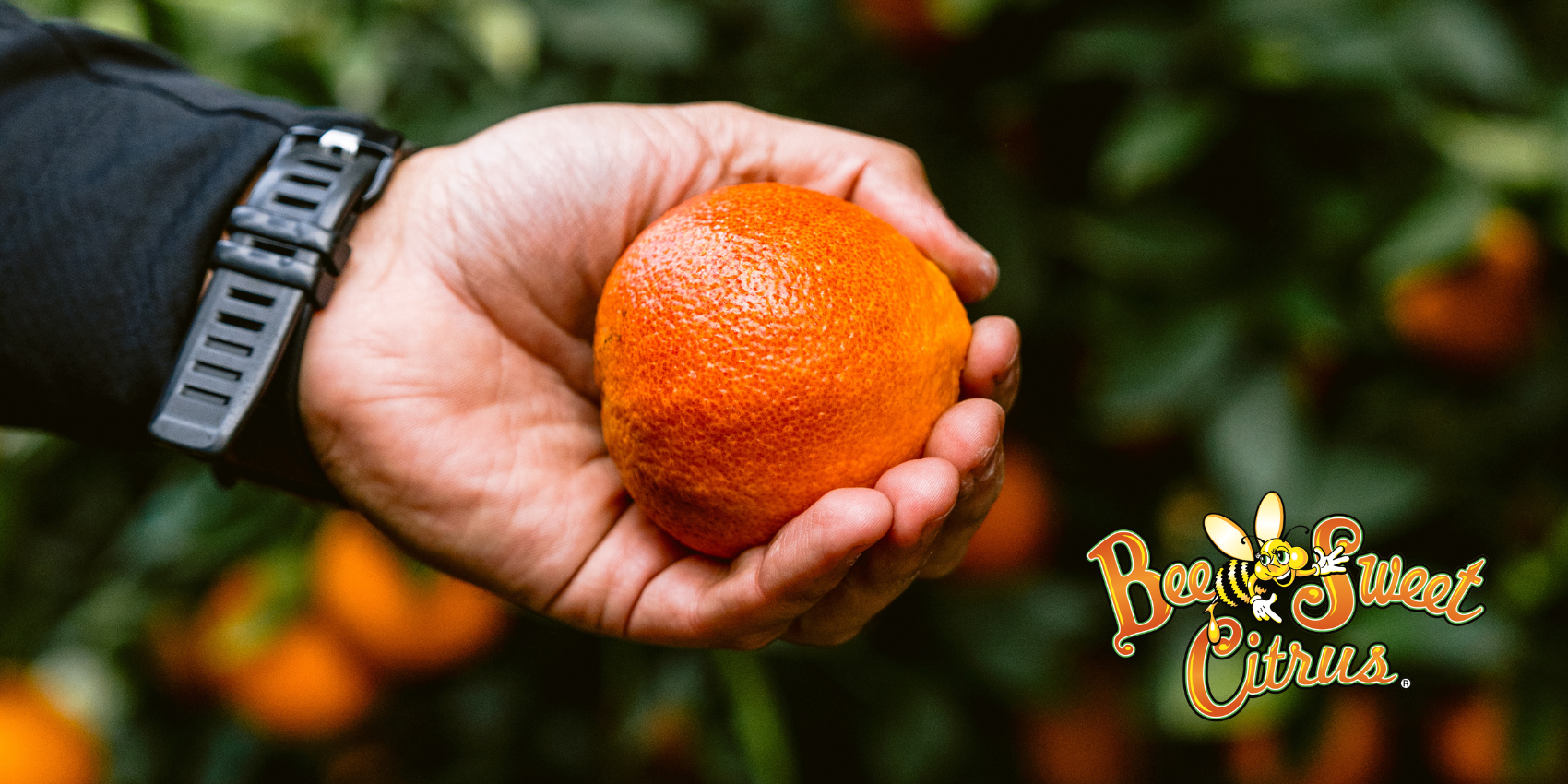 Web Banners - News Blogs - 2026-04-09T093847822 - The AG Center