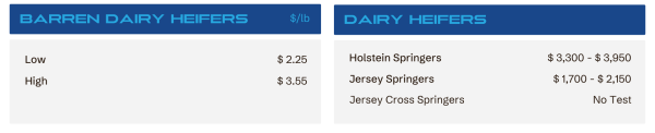 Two side-by-side price panels for dairy heifers: left shows Low 