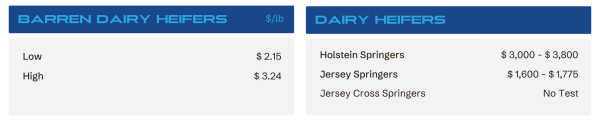 Two-column price board: left shows barren dairy heifers per lb (Low 