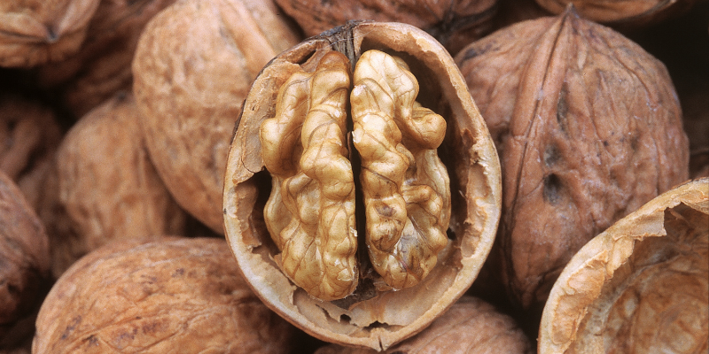The USDA Just Invested $17M to Keep California Walnuts on the World’s Shelves. Will It Be Enough?