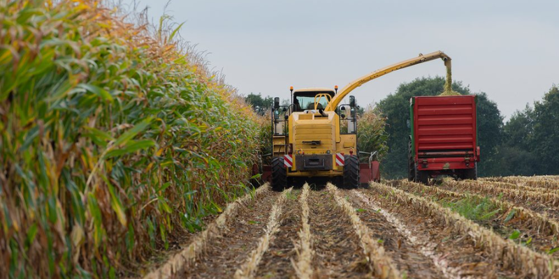 Web Banners - News Blogs - 2026-05-12T135758191 - The AG Center Yellow combine harvester transferring harvested corn into a red trailer in a cornfield path between tall stalks on a sunny day