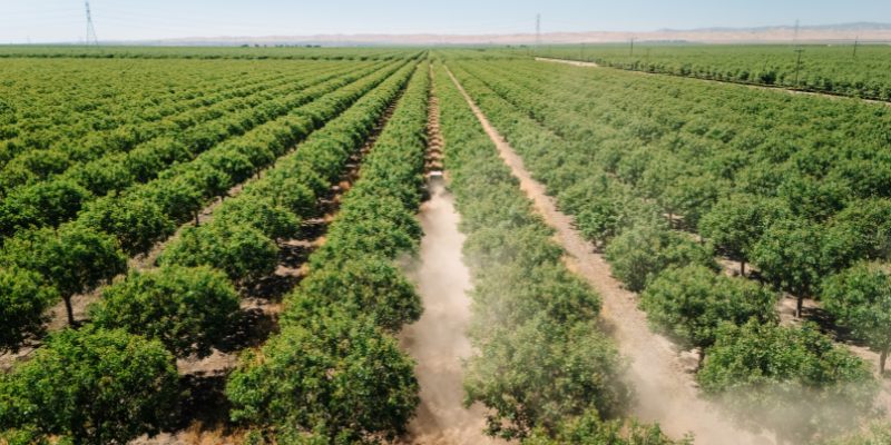 Web Banners - News Blogs - 2026-05-20T091140834 - The AG Center